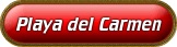 Playa del Carmen Dolphin Tours